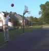 Basketball 1